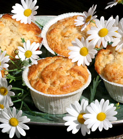 picnic_muffins